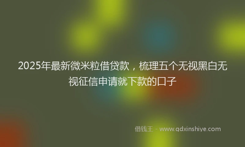 2025年最新微米粒借贷款，梳理五个无视黑白无视征信申请就下款的口子