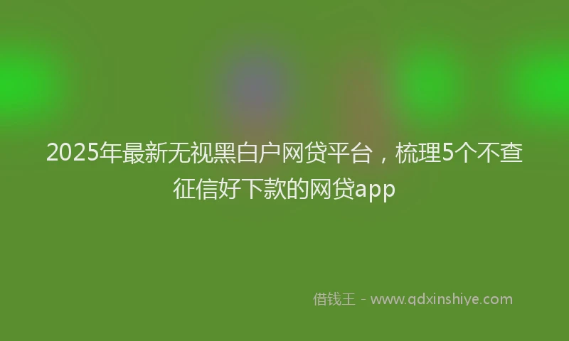 2025年最新无视黑白户网贷平台，梳理5个不查征信好下款的网贷app
