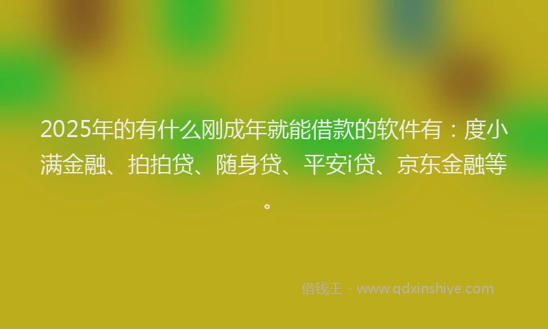2025年的有什么刚成年就能借款的软件有：度小满金融、拍拍贷、随身贷、平安i贷、京东金融等。