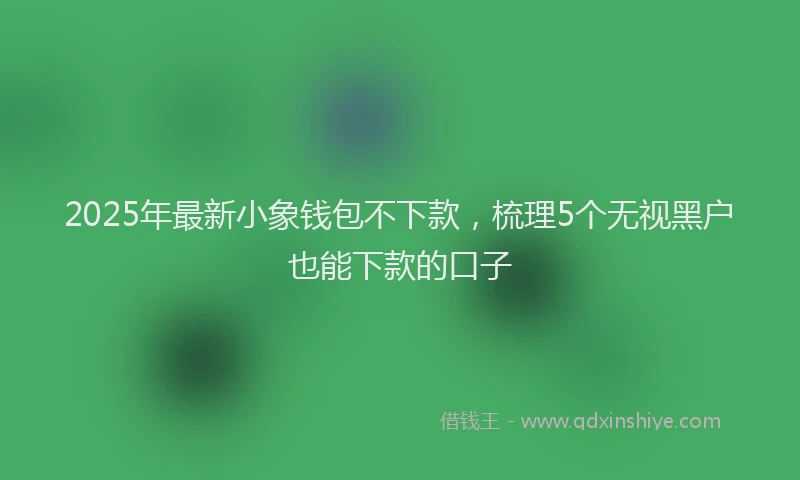 2025年最新小象钱包不下款，梳理5个无视黑户也能下款的口子