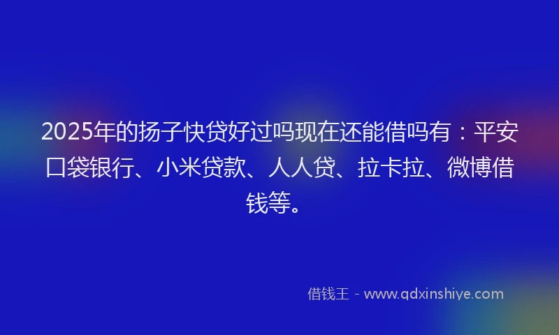 2025年的扬子快贷好过吗现在还能借吗有：平安口袋银行、小米贷款、人人贷、拉卡拉、微博借钱等。