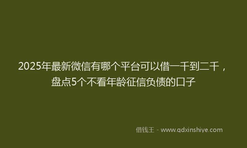 2025年最新微信有哪个平台可以借一千到二千，盘点5个不看年龄征信负债的口子