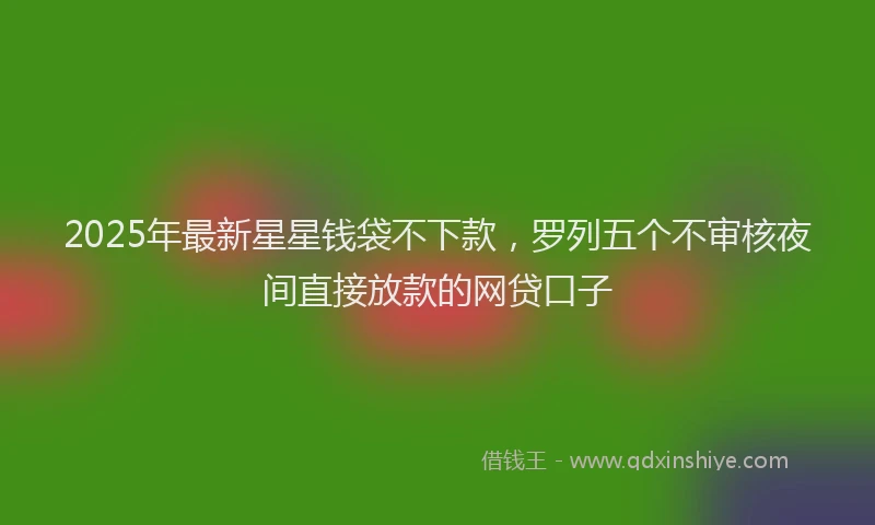 2025年最新星星钱袋不下款，罗列五个不审核夜间直接放款的网贷口子
