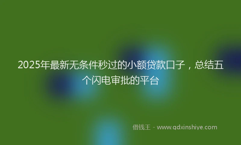 2025年最新无条件秒过的小额贷款口子，总结五个闪电审批的平台