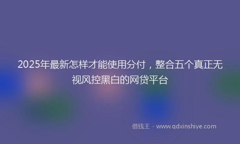 2025年最新怎样才能使用分付，整合五个真正无视风控黑白的网贷平台