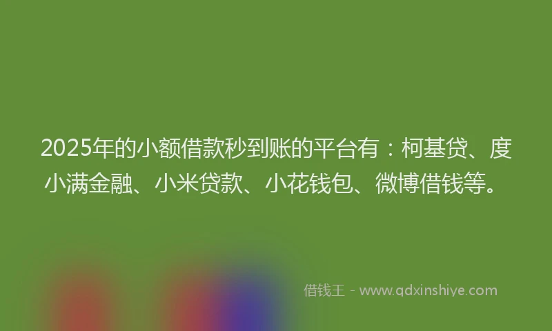 2025年的小额借款秒到账的平台有：柯基贷、度小满金融、小米贷款、小花钱包、微博借钱等。