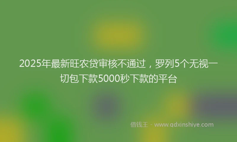 2025年最新旺农贷审核不通过，罗列5个无视一切包下款5000秒下款的平台