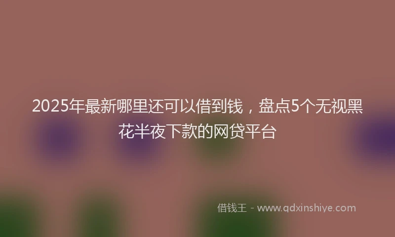 2025年最新哪里还可以借到钱，盘点5个无视黑花半夜下款的网贷平台
