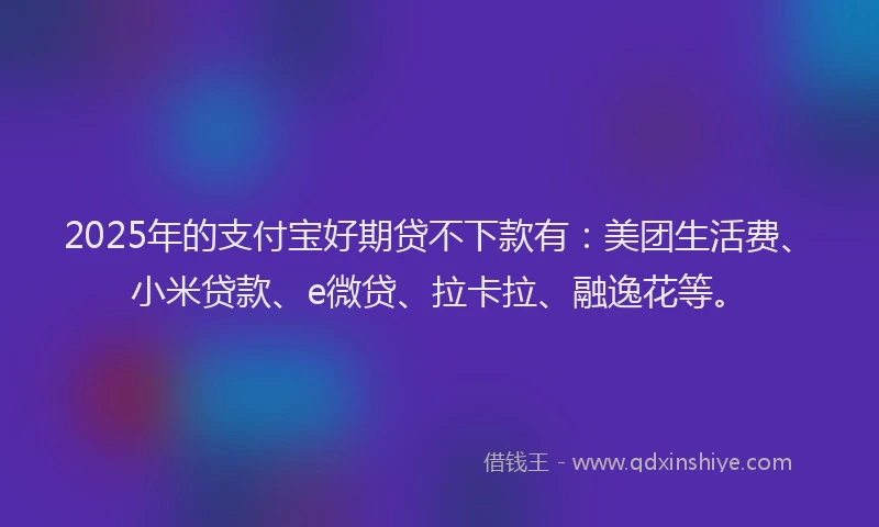 2025年的支付宝好期贷不下款有：美团生活费、小米贷款、e微贷、拉卡拉、融逸花等。