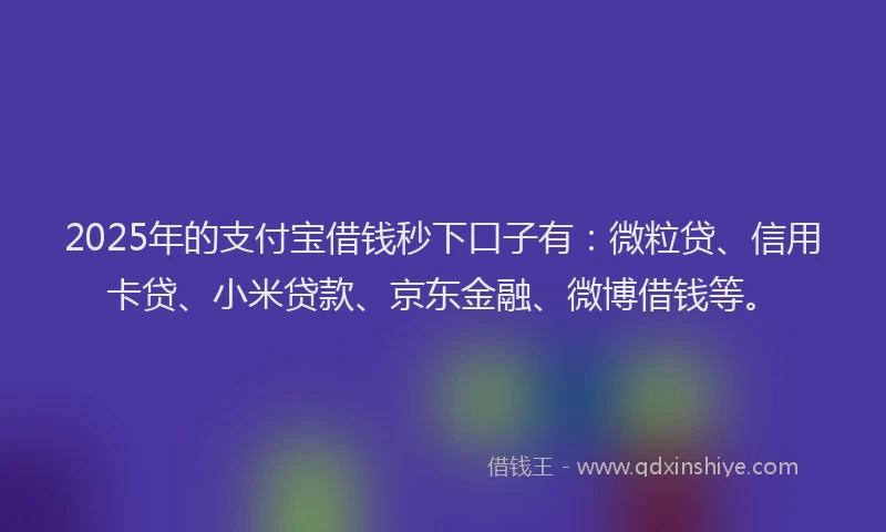 2025年的支付宝借钱秒下口子有：微粒贷、信用卡贷、小米贷款、京东金融、微博借钱等。
