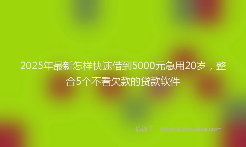2025年最新怎样快速借到5000元急用20岁，整合5个不看欠款的贷款软件