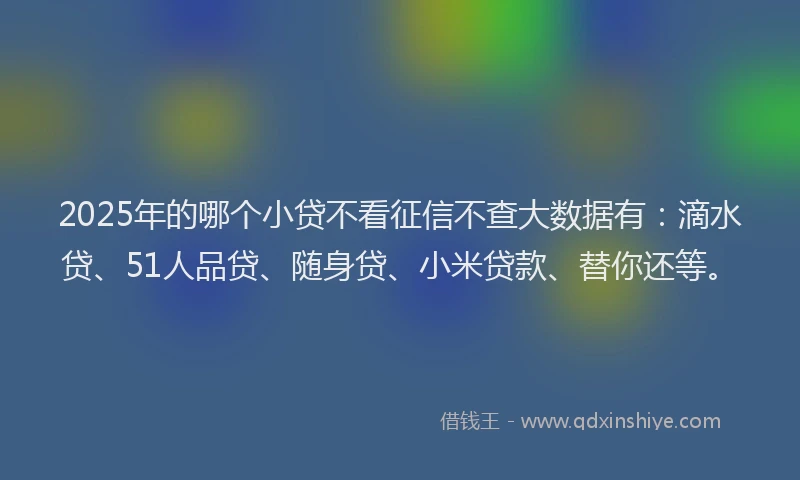 2025年的哪个小贷不看征信不查大数据有：滴水贷、51人品贷、随身贷、小米贷款、替你还等。