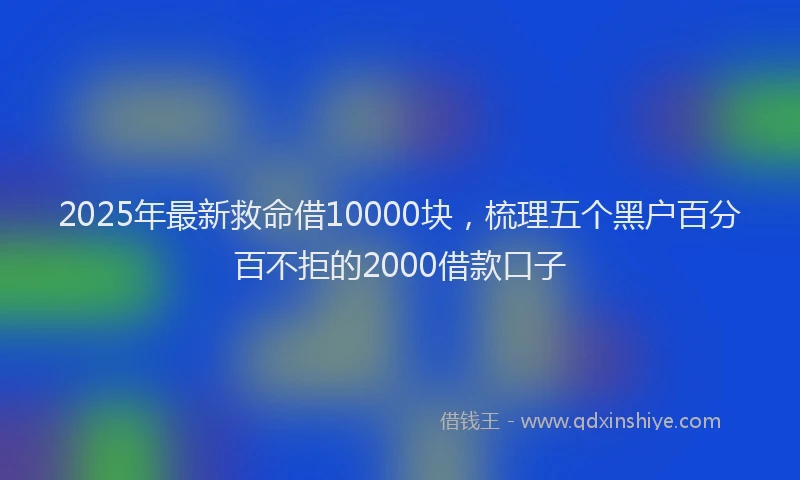 2025年最新救命借10000块，梳理五个黑户百分百不拒的2000借款口子
