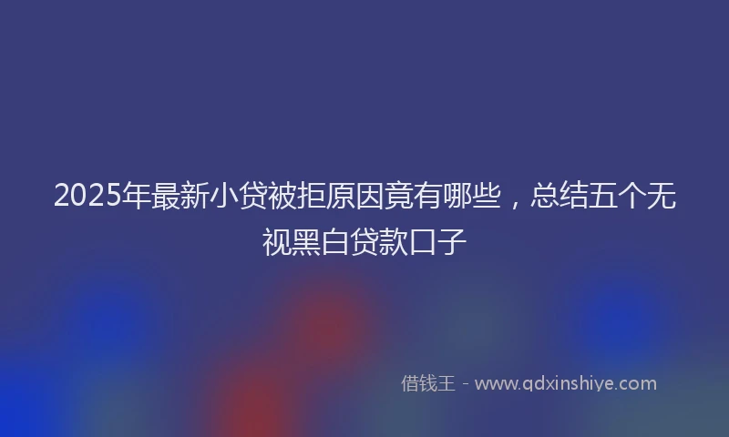 2025年最新小贷被拒原因竟有哪些，总结五个无视黑白贷款口子