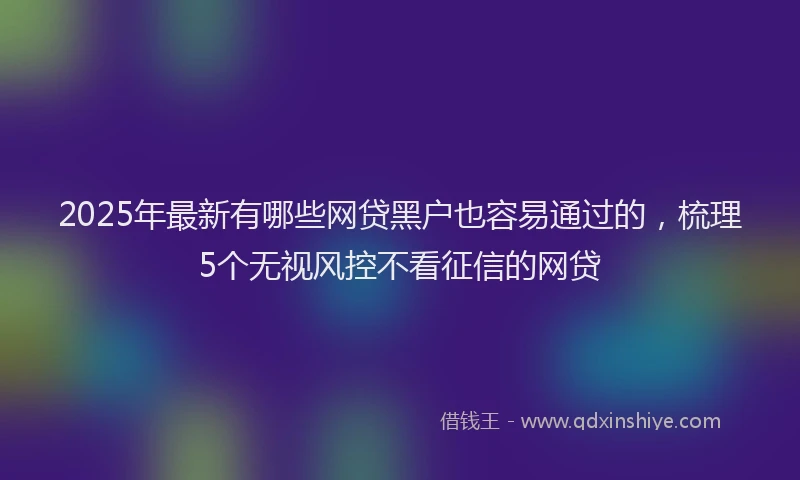2025年最新有哪些网贷黑户也容易通过的，梳理5个无视风控不看征信的网贷