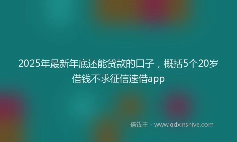 2025年最新年底还能贷款的口子，概括5个20岁借钱不求征信速借app