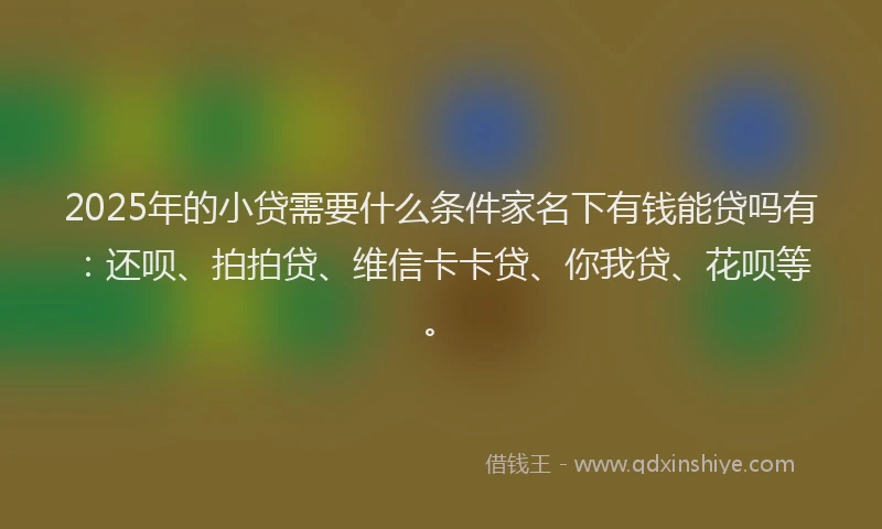 2025年的小贷需要什么条件家名下有钱能贷吗有：还呗、拍拍贷、维信卡卡贷、你我贷、花呗等。