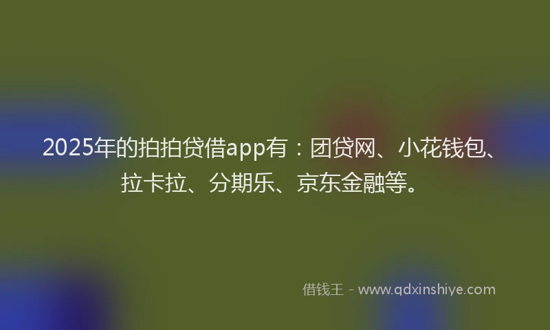 2025年的拍拍贷借app有：团贷网、小花钱包、拉卡拉、分期乐、京东金融等。