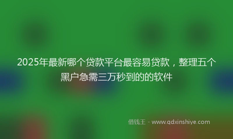 2025年最新哪个贷款平台最容易贷款，整理五个黑户急需三万秒到的的软件