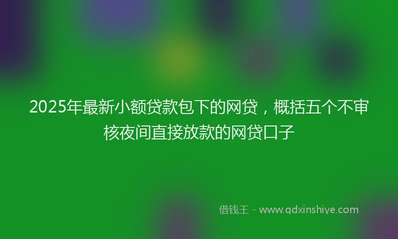 2025年最新小额贷款包下的网贷，概括五个不审核夜间直接放款的网贷口子