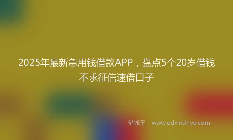 2025年最新急用钱借款APP，盘点5个20岁借钱不求征信速借口子