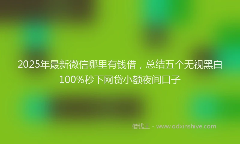 2025年最新微信哪里有钱借，总结五个无视黑白100%秒下网贷小额夜间口子