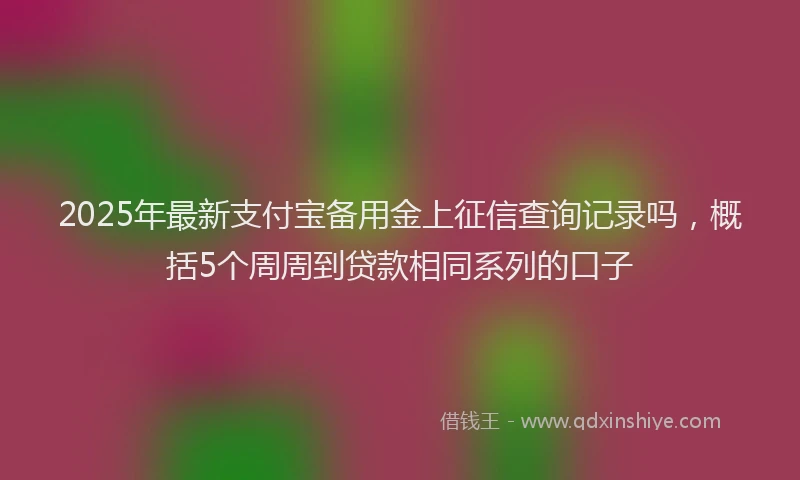 2025年最新支付宝备用金上征信查询记录吗，概括5个周周到贷款相同系列的口子