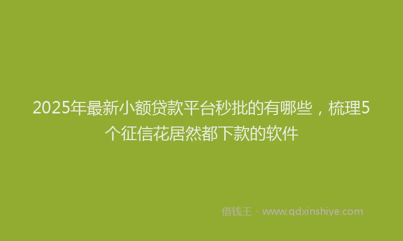 2025年最新小额贷款平台秒批的有哪些，梳理5个征信花居然都下款的软件