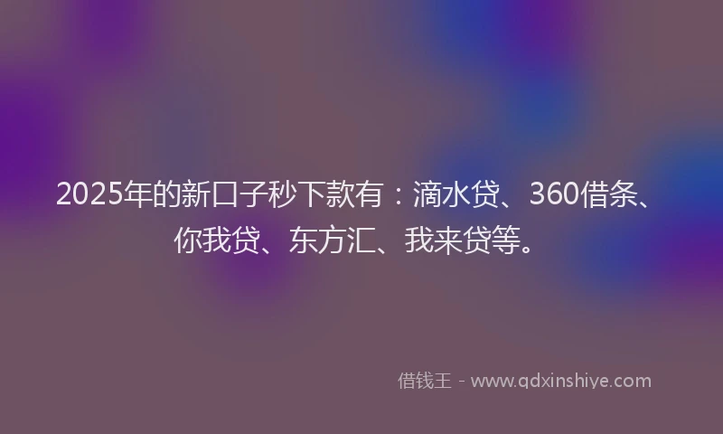 2025年的新口子秒下款有：滴水贷、360借条、你我贷、东方汇、我来贷等。