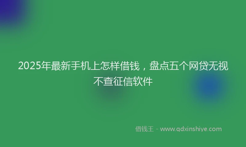 2025年最新手机上怎样借钱，盘点五个网贷无视不查征信软件