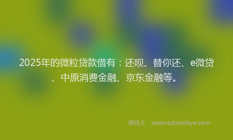 2025年的微粒贷款借有：还呗、替你还、e微贷、中原消费金融、京东金融等。