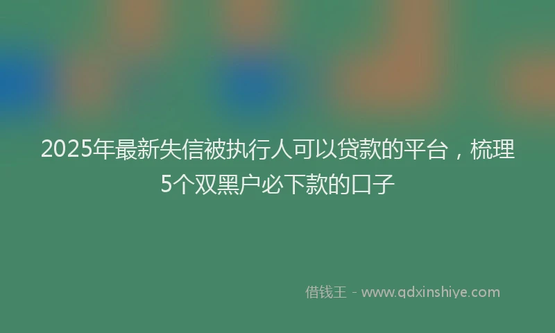 2025年最新失信被执行人可以贷款的平台，梳理5个双黑户必下款的口子