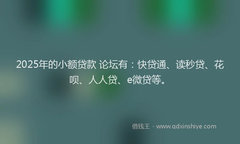2025年的小额贷款 论坛有：快贷通、读秒贷、花呗、人人贷、e微贷等。