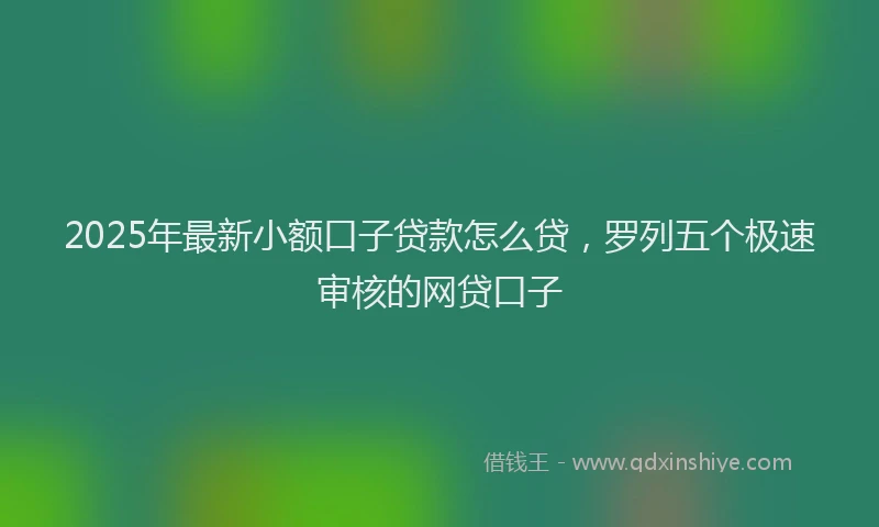 2025年最新小额口子贷款怎么贷，罗列五个极速审核的网贷口子