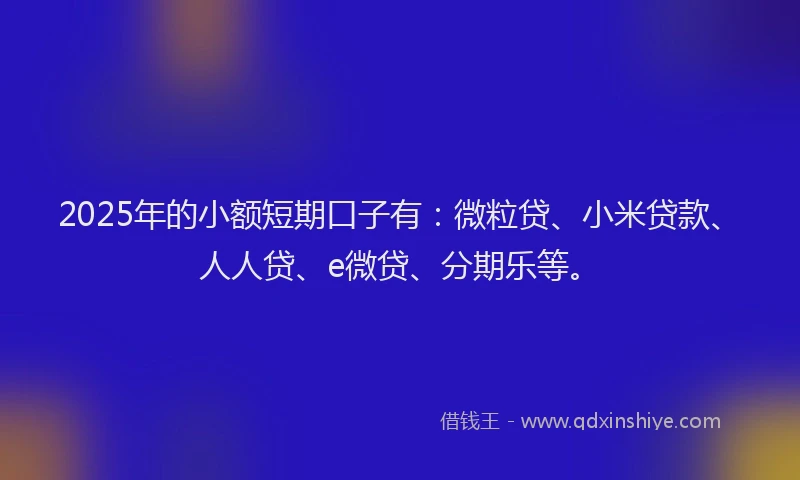 2025年的小额短期口子有：微粒贷、小米贷款、人人贷、e微贷、分期乐等。