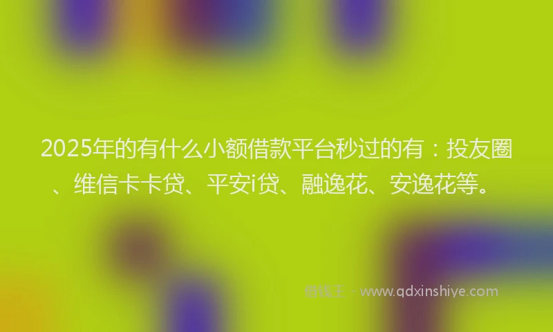 2025年的有什么小额借款平台秒过的有：投友圈、维信卡卡贷、平安i贷、融逸花、安逸花等。