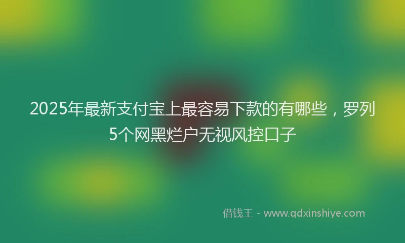 2025年最新支付宝上最容易下款的有哪些，罗列5个网黑烂户无视风控口子