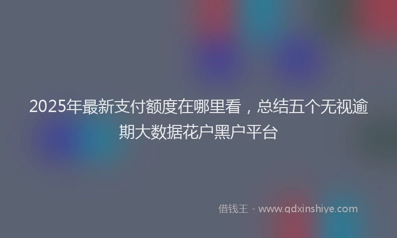 2025年最新支付额度在哪里看，总结五个无视逾期大数据花户黑户平台