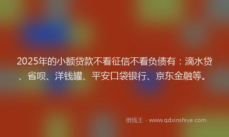 2025年的小额贷款不看征信不看负债有：滴水贷、省呗、洋钱罐、平安口袋银行、京东金融等。