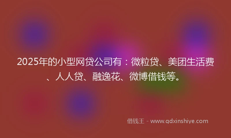 2025年的小型网贷公司有：微粒贷、美团生活费、人人贷、融逸花、微博借钱等。