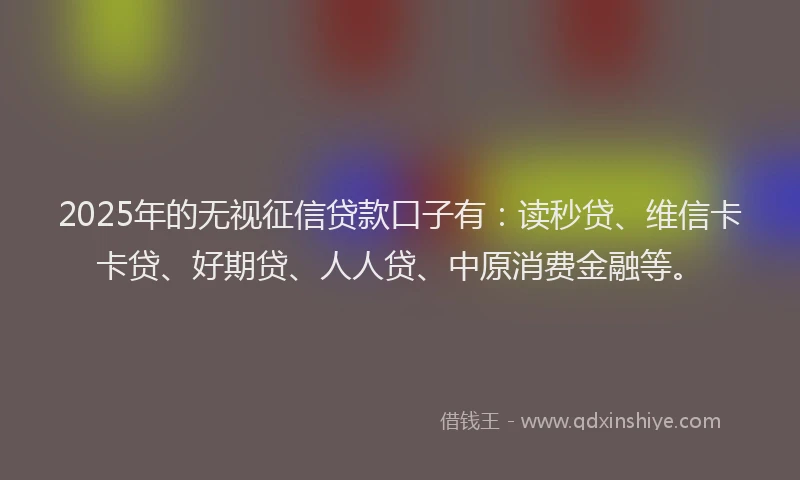 2025年的无视征信贷款口子有：读秒贷、维信卡卡贷、好期贷、人人贷、中原消费金融等。