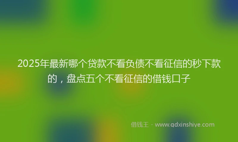 2025年最新哪个贷款不看负债不看征信的秒下款的，盘点五个不看征信的借钱口子