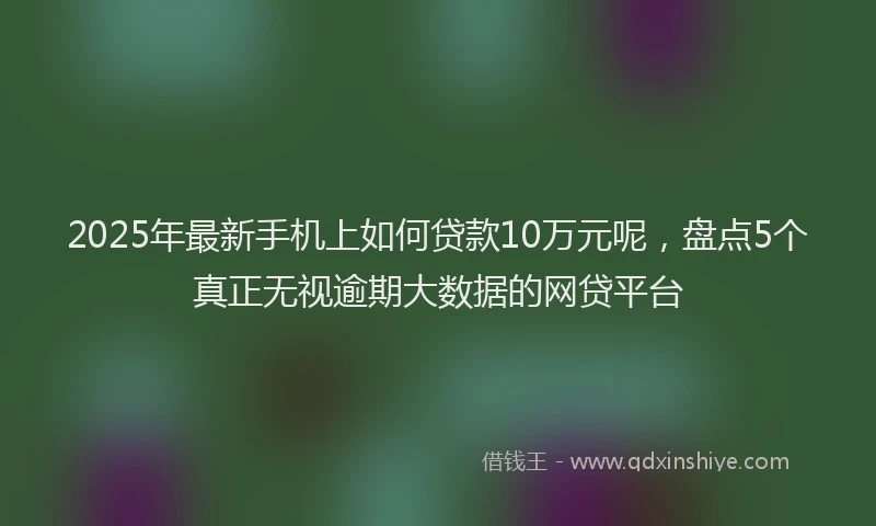 2025年最新手机上如何贷款10万元呢，盘点5个真正无视逾期大数据的网贷平台