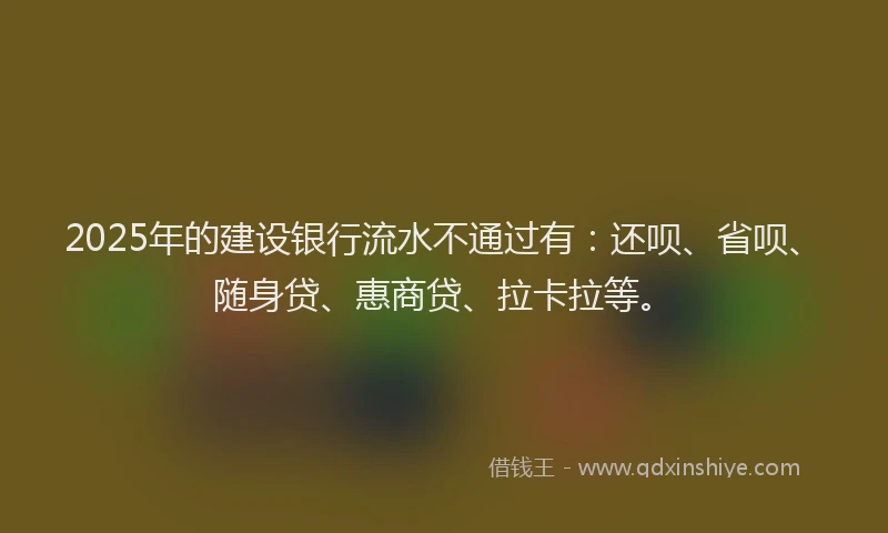 2025年的建设银行流水不通过有：还呗、省呗、随身贷、惠商贷、拉卡拉等。