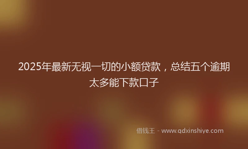 2025年最新无视一切的小额贷款，总结五个逾期太多能下款口子