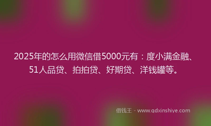 2025年的怎么用微信借5000元有：度小满金融、51人品贷、拍拍贷、好期贷、洋钱罐等。