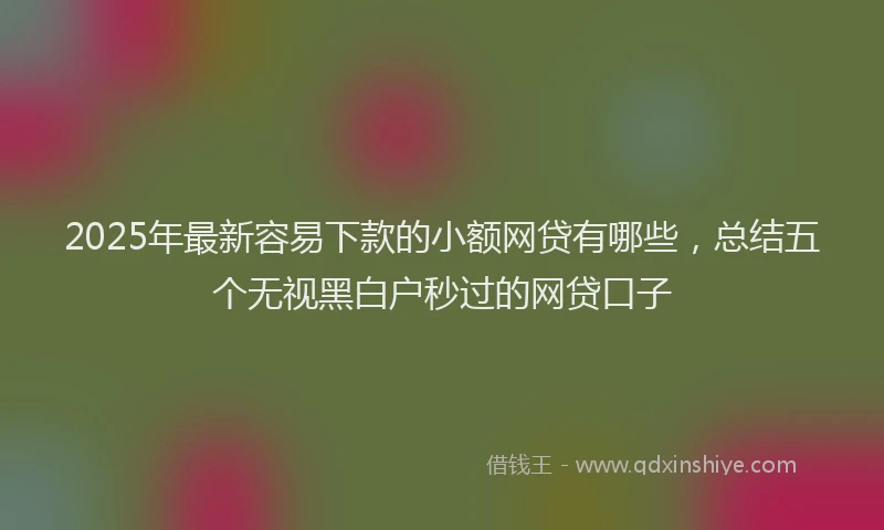 2025年最新容易下款的小额网贷有哪些，总结五个无视黑白户秒过的网贷口子