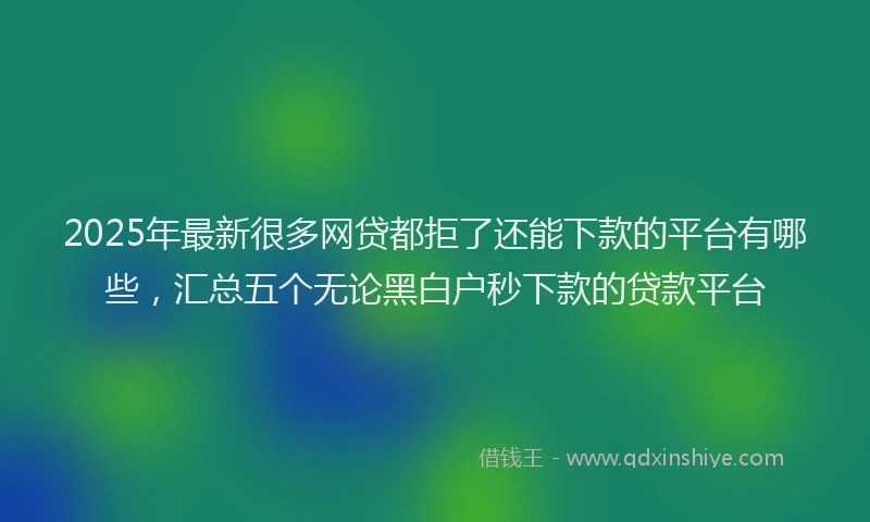 2025年最新很多网贷都拒了还能下款的平台有哪些，汇总五个无论黑白户秒下款的贷款平台