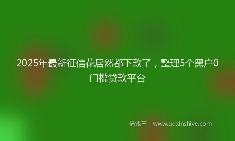 2025年最新征信花居然都下款了，整理5个黑户0门槛贷款平台