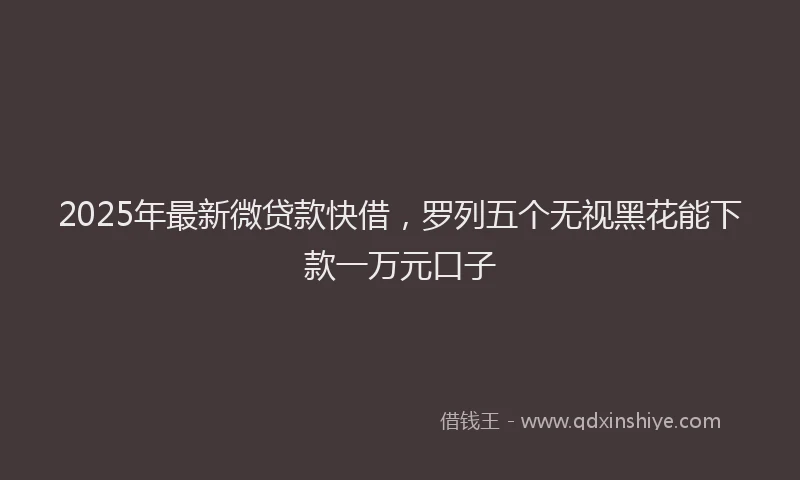 2025年最新微贷款快借，罗列五个无视黑花能下款一万元口子